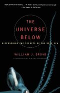 Universe Below