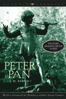 J. M. Barrie - Peter Pan, Häftad