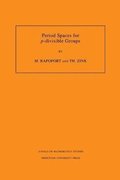 Period Spaces for p-divisible Groups