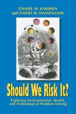 Should We Risk It? av Daniel M Kammen, David M Hassenzahl, David M Hassenzahl Ph D