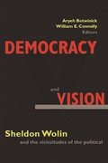 Democracy and Vision
