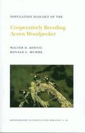 Population Ecology of the Cooperatively Breeding Acorn Woodpecker