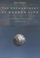 Enchantment of Modern Life