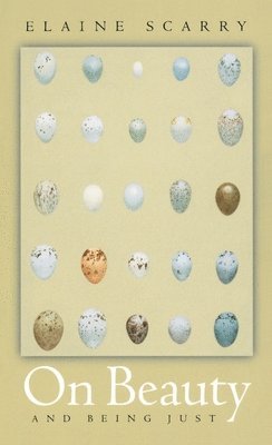 Elaine Scarry - On Beauty and Being Just, Häftad