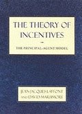 Theory of Incentives