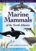 Marine Mammals of the North Atlantic