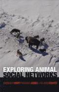 Exploring Animal Social Networks
