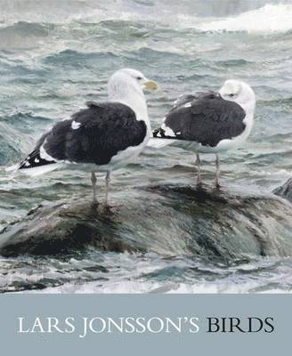Lars Jonsson - Lars Jonsson's Birds: Paintings from a Near Horizon, Inbunden