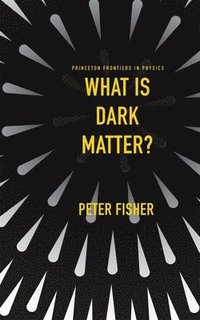 What Is Dark Matter?