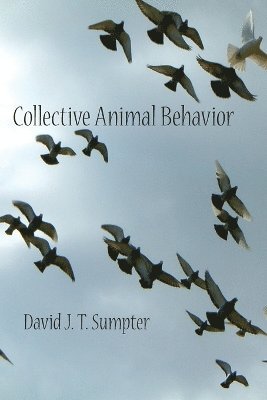 David J. T. Sumpter - Collective Animal Behavior, Häftad