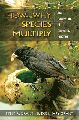 Peter R. Grant, B. Rosemary Grant - How and Why Species Multiply, Häftad