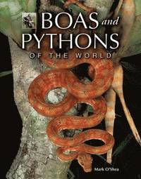 Venomous Snakes of the World