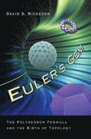 David S. Richeson - Euler's Gem, Häftad