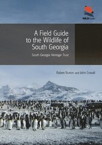A Field Guide to the Wildlife of South Georgia