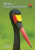 Birds of Kruger National Park