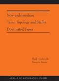Non-Archimedean Tame Topology and Stably Dominated Types (AM-192)