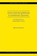 Action-minimizing Methods in Hamiltonian Dynamics