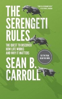 Serengeti Rules
