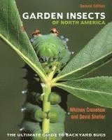 Whitney Cranshaw, David Shetlar - Garden Insects of North America, Häftad. Tillgänglighet: Tillfälligt slut
