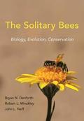 Solitary Bees