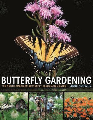Butterfly Gardening