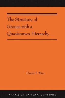 Daniel T. Wise - Structure of Groups with a Quasiconvex Hierarchy, Inbunden. Tillgänglighet: Lägg i varukorg