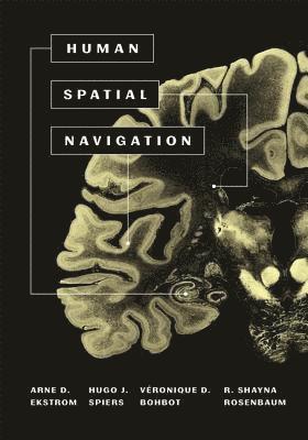 Arne Ekstrom, Hugo J. Spiers, Véronique D. Bohbot, R. Shayna Rosenbaum - Human Spatial Navigation, Inbunden