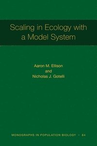 Scaling in Ecology with a Model System