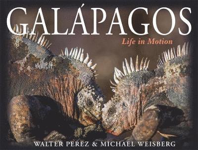 Walter Perez, Michael Weisberg - Galápagos, Inbunden. Tillgänglighet: Tillfälligt slut
