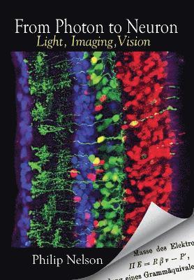 Philip Nelson - From Photon to Neuron, Häftad