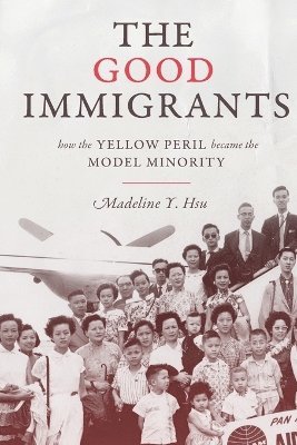 Good Immigrants av Madeline Y Hsu