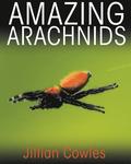 Amazing Arachnids
