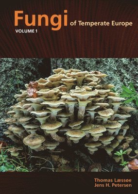 Thomas Læssøe, Jens H. Petersen - Fungi of Temperate Europe, Inbunden. Tillgänglighet: Lägg till