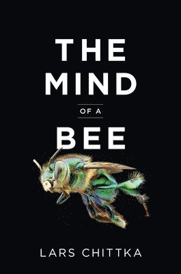 Lars Chittka - Mind of a Bee, Inbunden. Tillgänglighet: Tillfälligt slut