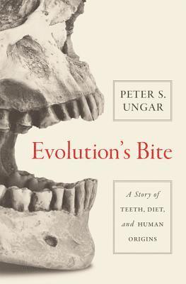 Peter Ungar - Evolution's Bite, Häftad