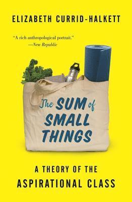 Elizabeth Currid-Halkett - Sum of Small Things, Häftad