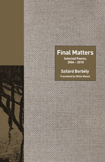 Szilard Borbely - Final Matters, E-bok