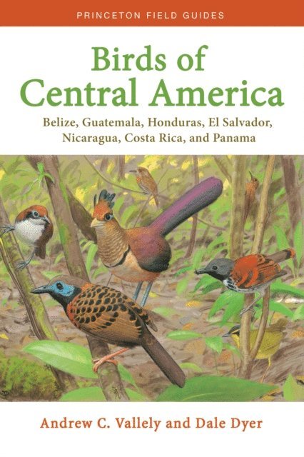 Dale Dyer, Andrew C. Vallely - Birds of Central America, E-bok