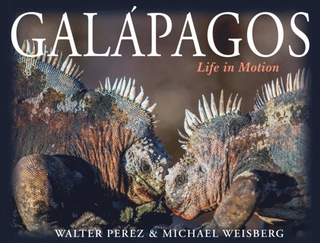 Michael Weisberg, Walter Perez - Galapagos, E-bok