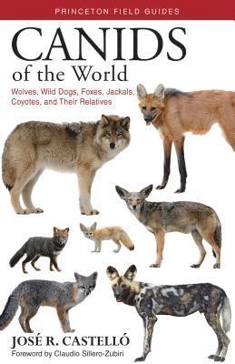 Jose R. Castello - Canids of the World, E-bok