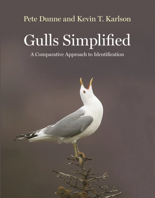 Kevin T. Karlson, Pete Dunne - Gulls Simplified, E-bok