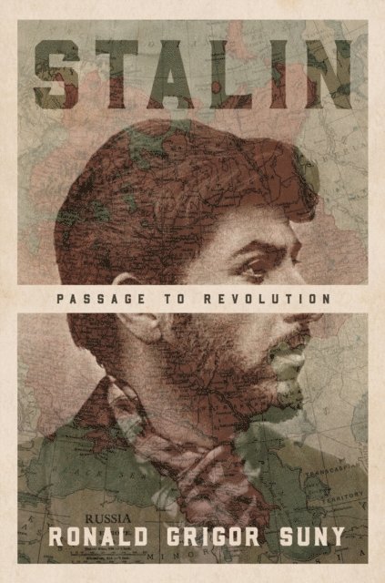Ronald Grigor Suny - Stalin, E-bok