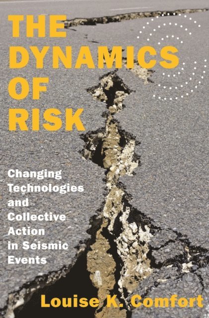 Louise K. Comfort - Dynamics of Risk, E-bok