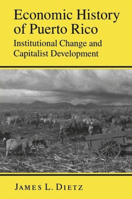 James L. Dietz - Economic History of Puerto Rico, E-bok