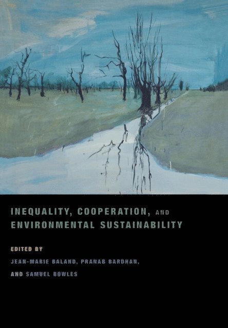 Samuel Bowles, Pranab Bardhan, Jean-Marie Baland - Inequality, Cooperation, and Environmental Sustainability, E-bok