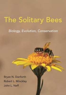John L. Neff, Robert L. Minckley, Bryan N. Danforth - Solitary Bees, E-bok. Tillgänglighet: Lägg i varukorg
