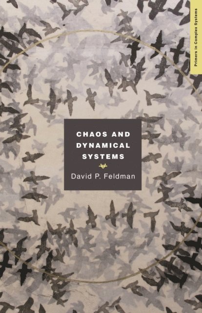 David P. Feldman - Chaos and Dynamical Systems, E-bok
