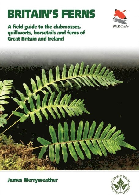 James Merryweather - Ferns, E-bok