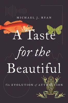 Michael J. Ryan - Taste for the Beautiful, Häftad