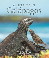 Lifetime In Galapagos